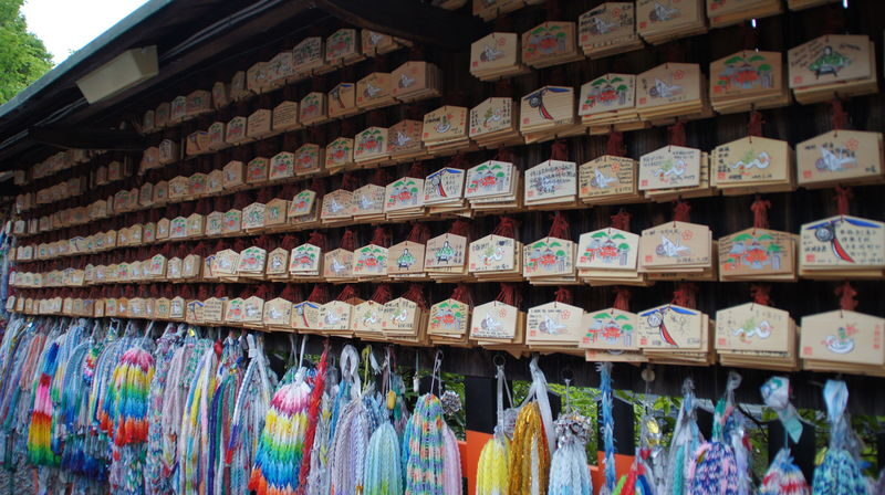 Kyoto Fushimi Inari Half-Day Cultural Walking Tour - Climbing for views across Kyoto