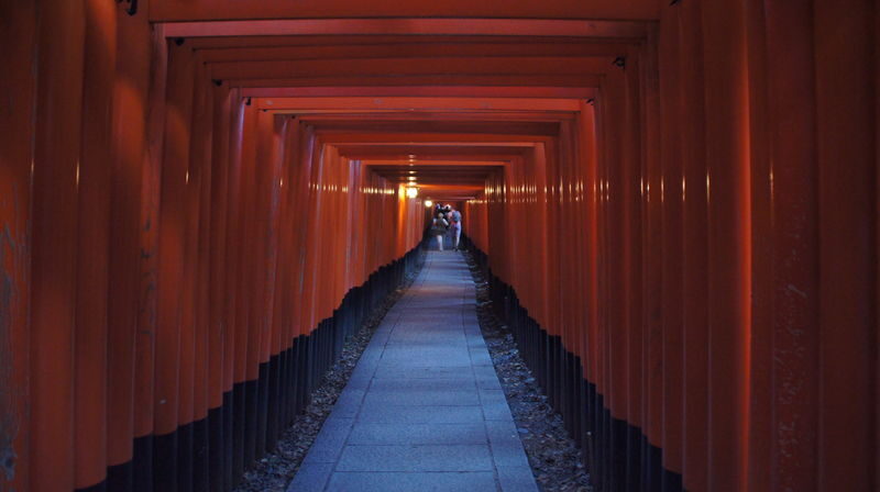 Kyoto Fushimi Inari Half-Day Cultural Walking Tour - What the guide brings to the experience