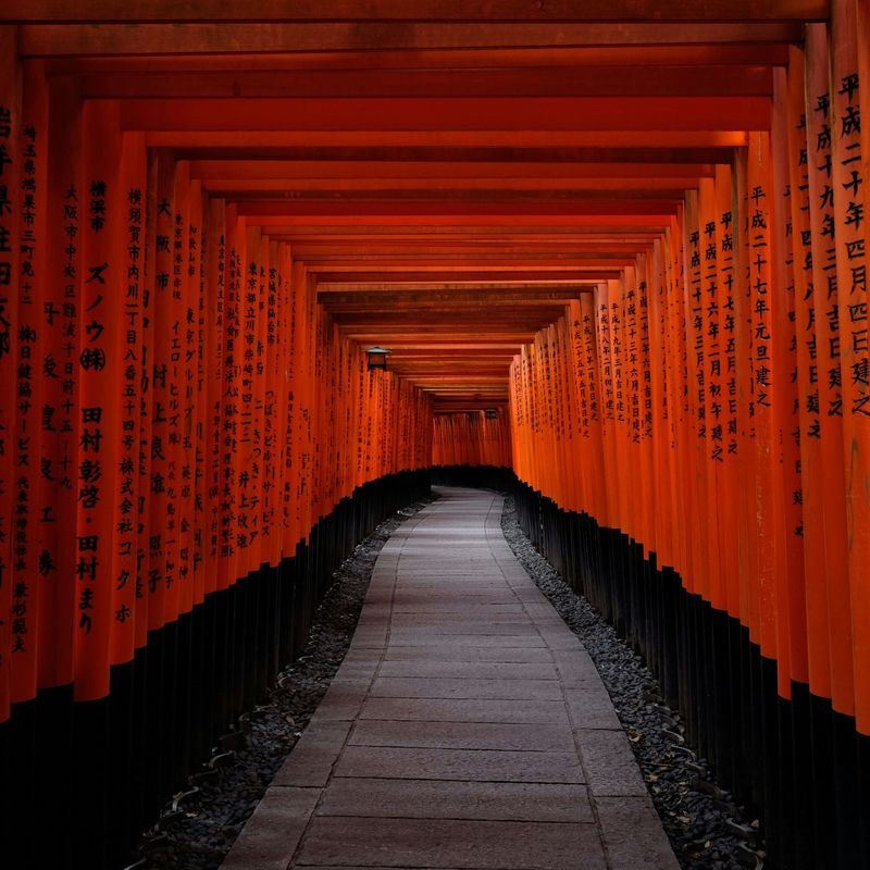 Kyoto Fushimi Inari Half-Day Guided Tour - Why twilight changes the Fushimi Inari walk