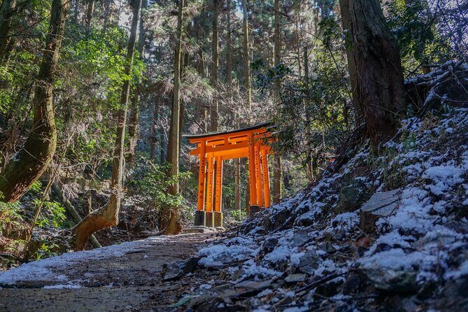 Kyoto: Fushimi Inari Hidden Hike (Private) - The Experience: A Detailed Look