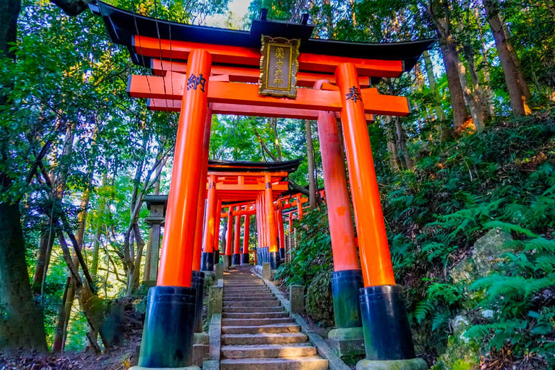 Kyoto Fushimi Inari, Nara Park & Arashiyama Day Tour (Optional pick-up/drop-off in Osaka/Kyoto) - Nara Park: deer, crackers and a quick look around