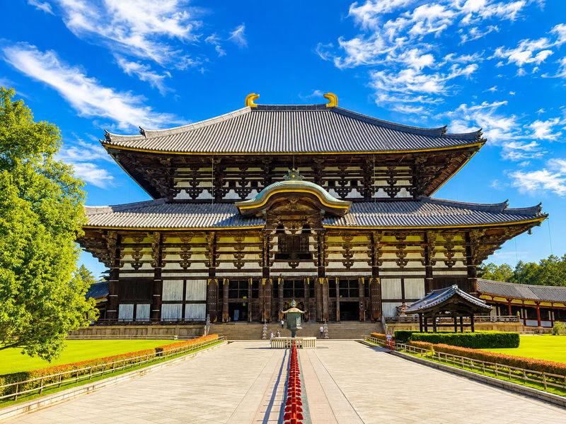 Kyoto Fushimi Inari Shrine Senbon Torii & Arashiyama Bamboo Forest Togetsukyo Bridge & Nara Park Todai-ji Temple One-Day Tour [Can upgrade to A5 Wagyu "Kobe Beef" (Departing from Osaka/Kyoto)] - Who should book this day tour?