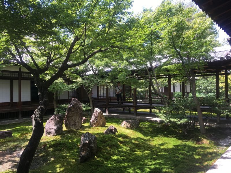 Kyoto Geisha Districts Half-Day Private Cultural Tour - Kennin-ji Temple: a change of pace