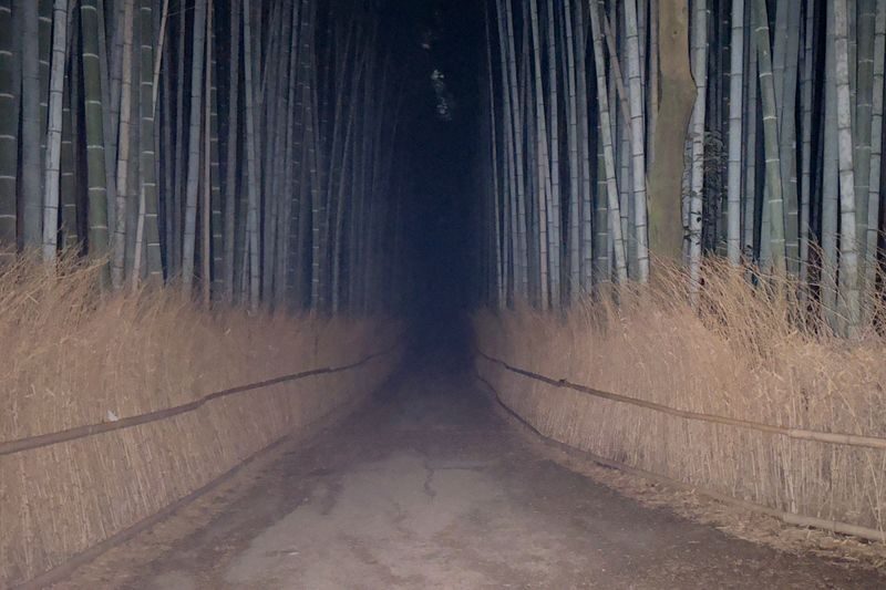 Kyoto Ghost Tour: Bamboo, Unsolved Mysteries & Dark Tales - Meeting at Saga-Arashiyama Station at 7:30 p.m.