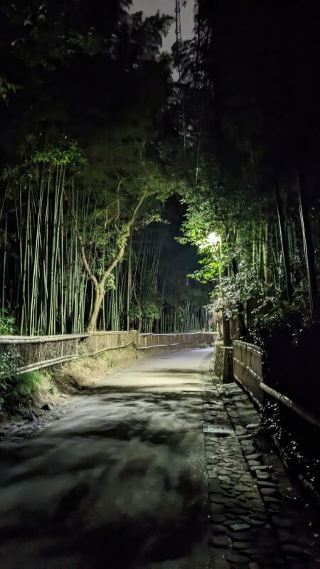 Kyoto Ghost Tour: Bamboo, Unsolved Mysteries & Dark Tales - The Cursed Shrine and Bamboo Grove