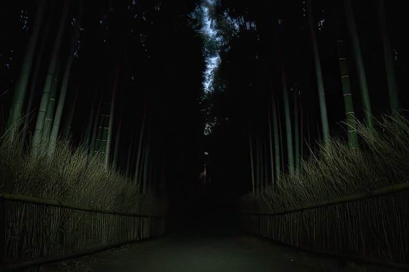 Kyoto Ghost Tour: Bamboo, Unsolved Mysteries & Dark Tales - Walking Through Arashiyama’s Quiet Streets