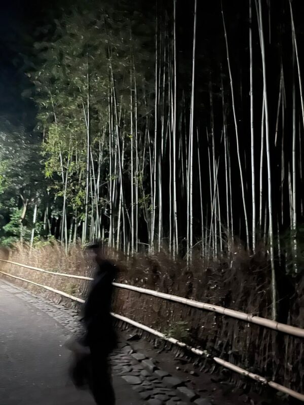 Kyoto Ghost Tour: Bamboo, Unsolved Mysteries & Dark Tales - How the Price Measures Up