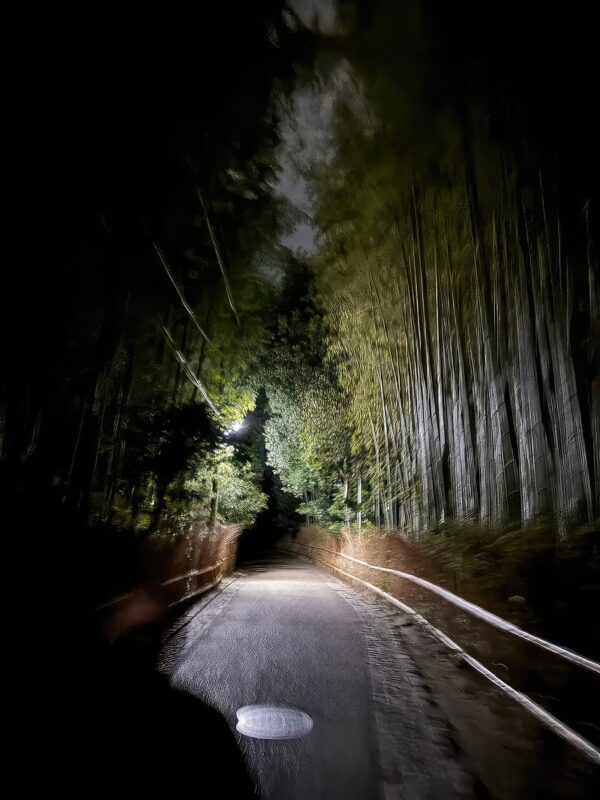 Kyoto Ghost Tour: Bamboo, Unsolved Mysteries & Dark Tales - Booking and Weather Notes