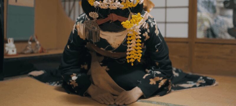 Kyoto Gion Cultural Walk & Geisha Show with Dining Options - Who Should Consider This Tour?