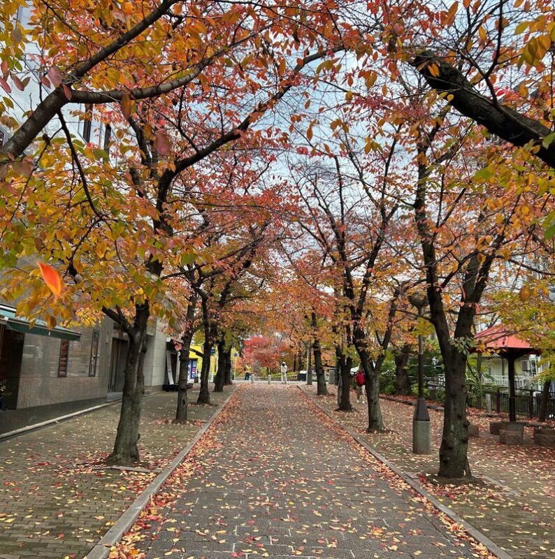Kyoto Gion Geisha 2-Hour Cultural Tour with Hidden Gems - What the geisha focus can teach you