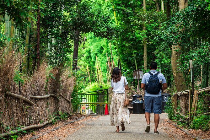 Kyoto Guided Tour of Bamboo Forest, Temple and more - Key Points