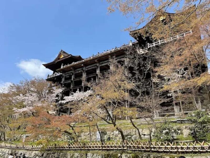 Kyoto: Guided Tour of Great Festivals and Cultural Events - An In-Depth Look at the Kyoto Festival Tour