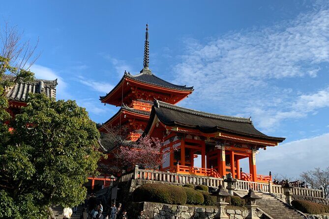 Kyoto Guided Walking Tour Highlight of Kiyomizu & Fushimi Inari - The Sum Up: Who Is This Tour Best For?