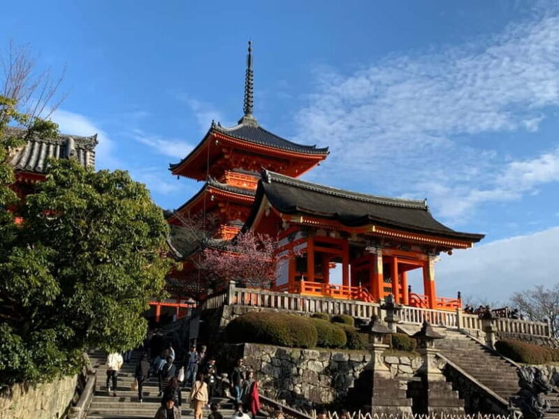 Kyoto Guided Walking Tour Kiyomizu & FushimiInari Highlight - Value and Practicality