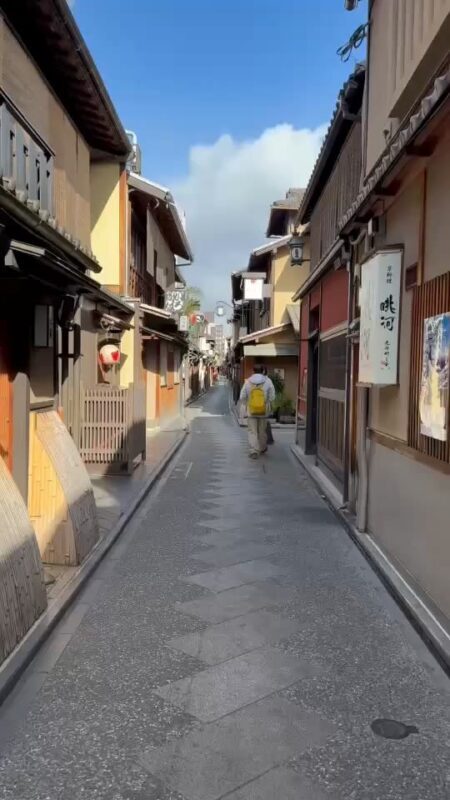 Kyoto Half-Day Electric Bike Tour with Guide - Kyoto by bike, not by bus