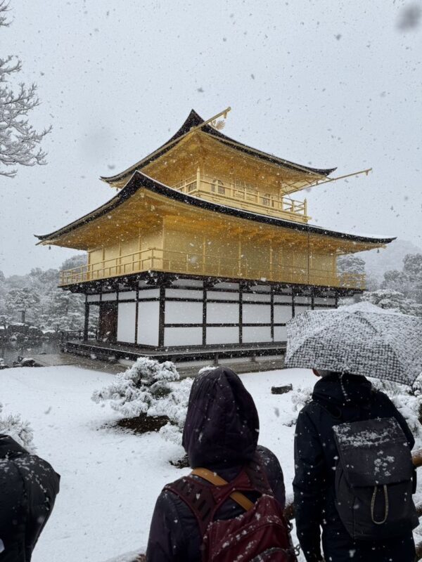 Kyoto Half-Day Electric Bike Tour with Guide - Is $89.20 good value?