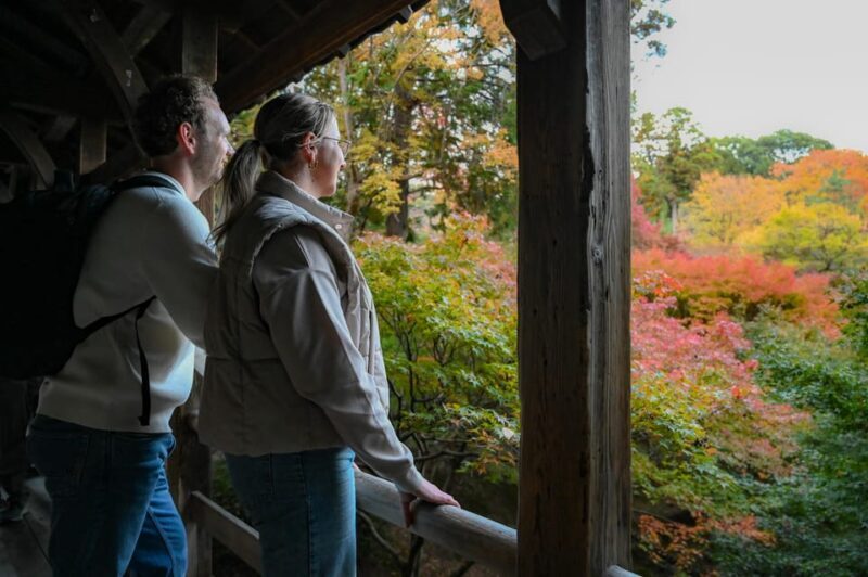 Kyoto: Half-day Guided Bike Tour with Fushimi Inari - Discover Kyoto by Bike: An Authentic Half-Day Tour of South Kyoto