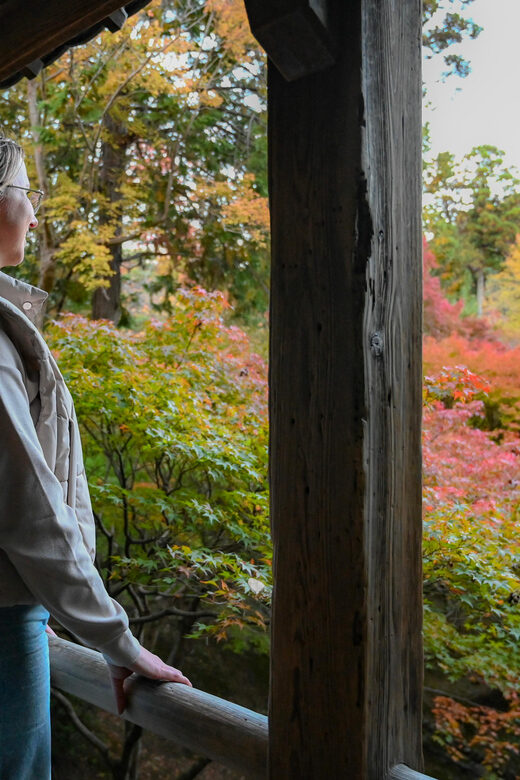 Kyoto: Half-day Guided Bike Tour with Fushimi Inari - FAQs