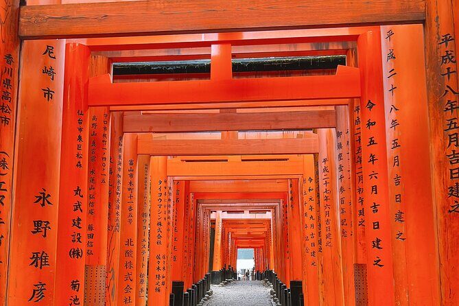 Kyoto Half Day Highlights Tour - Why This Tour Offers Great Value