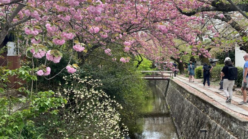 Kyoto: Half-Day Private Guided Tour of the Silver Pavilion - What Travelers Say