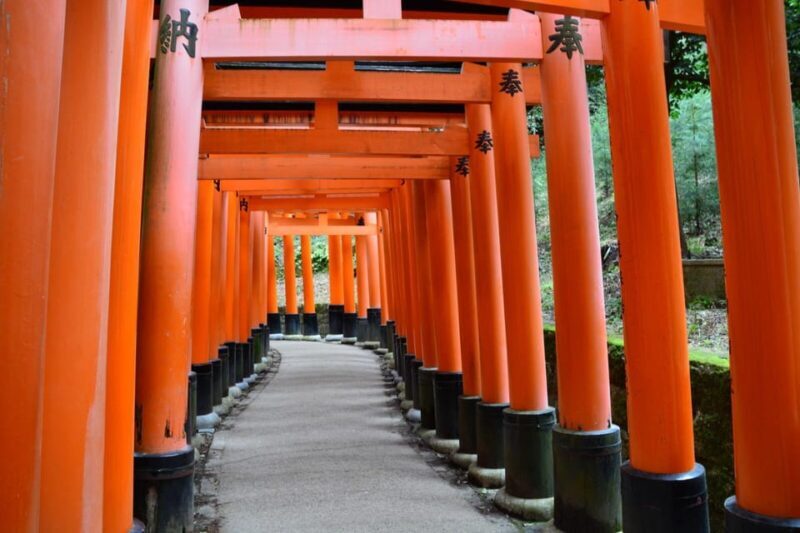 Kyoto Heritage: Fushimi Inari's Mystery & Kiyomizu Temple - Practicalities and Value