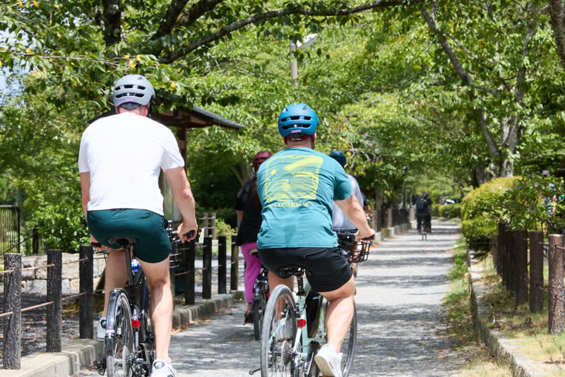 Kyoto Hidden Gems E-Bike Tour Through Backstreets & Temples - Should you book?