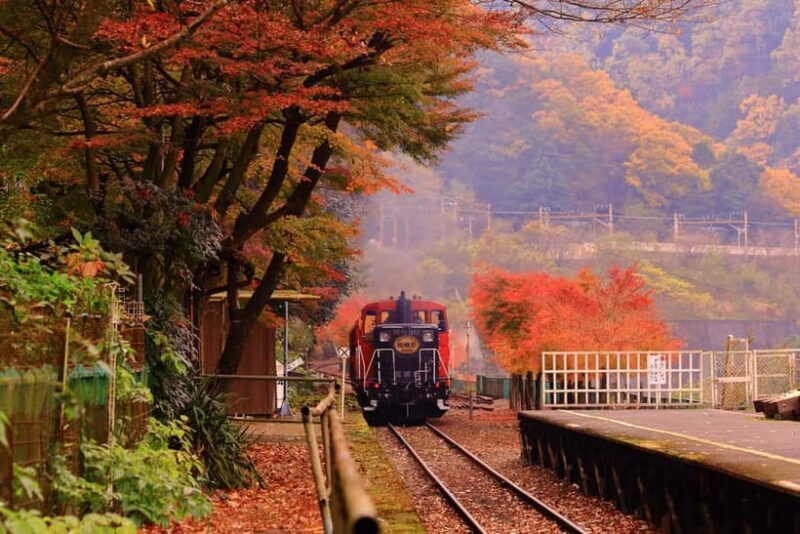 Kyoto: Hidden Gems Tour with Scenic Train Ride and Temples - Key takeaways