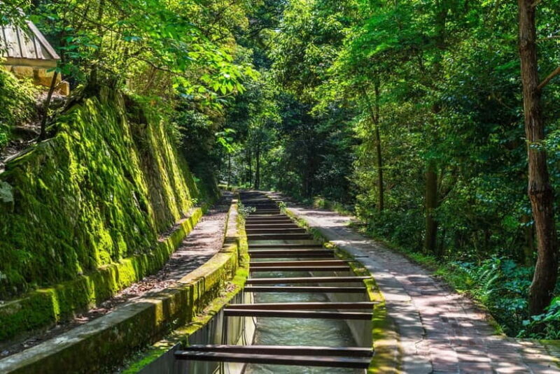 Kyoto: Hidden Gems Tour with Scenic Train Ride and Temples - How the day unfolds