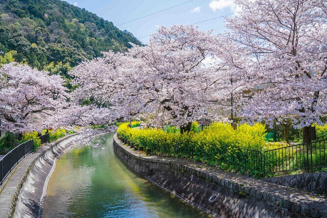 Kyoto Higashiyama E-Bike Tour *Private, Pick up from/to Hotel - Frequently Asked Questions