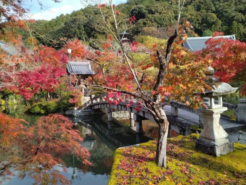 Kyoto: Higashiyama Hues: Discover Kyoto's Autumn Magic - Kyoto: Higashiyama Hues — Discover Kyoto’s Autumn Magic