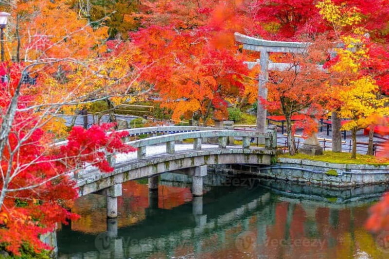 Kyoto: Higashiyama Hues: Discover Kyoto's Autumn Magic - Key Points