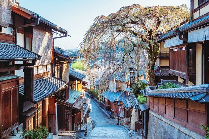 Kyoto Higashiyama Walking Private Tour - Key Points