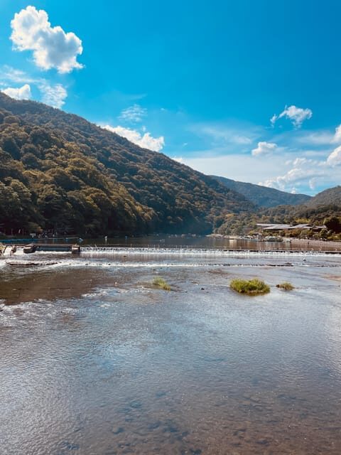 Kyoto: Highlights of Arashiyama in 2 hours - Guided tour - Scenic Viewpoints and Photo Opportunities