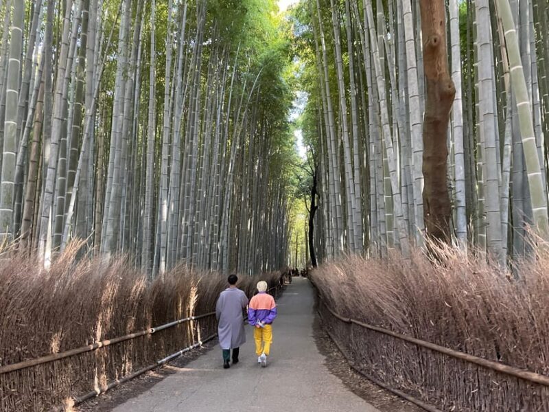 Kyoto: Highlights of Arashiyama in 2 hours - Guided tour - Final Thoughts: Is It Worth It?
