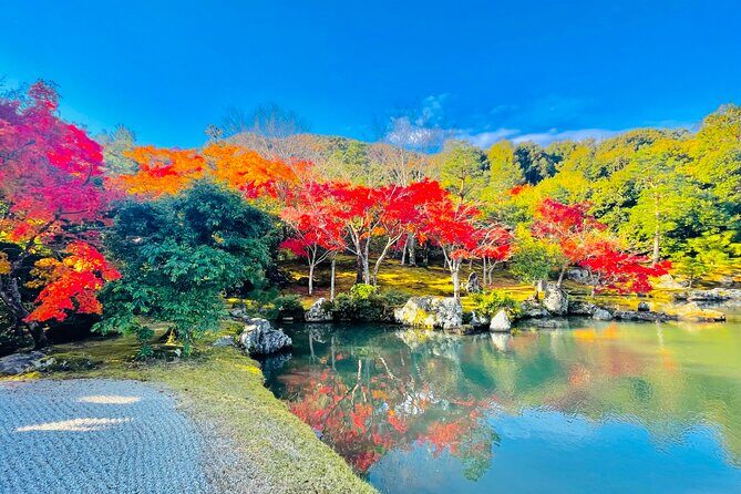 Kyoto Highlights Private Car Day Tour with English Speaking Guide - The Sum Up