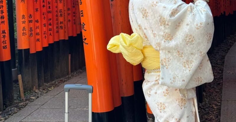 Kyoto Highlights Private Tour - Arashiyama Bamboo Forest and Park