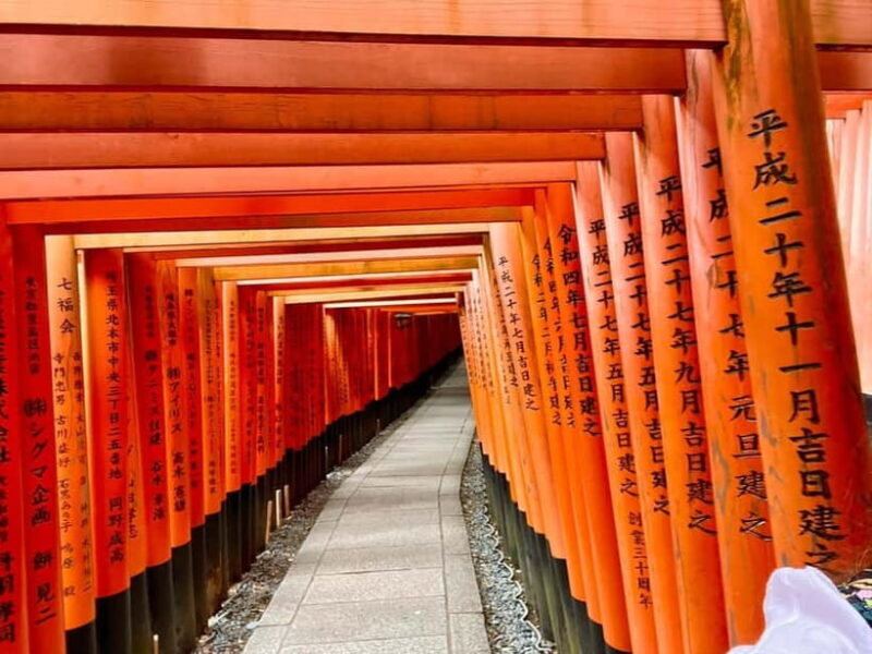 Kyoto Highlights Private Tour - Authentic Experience and Photography