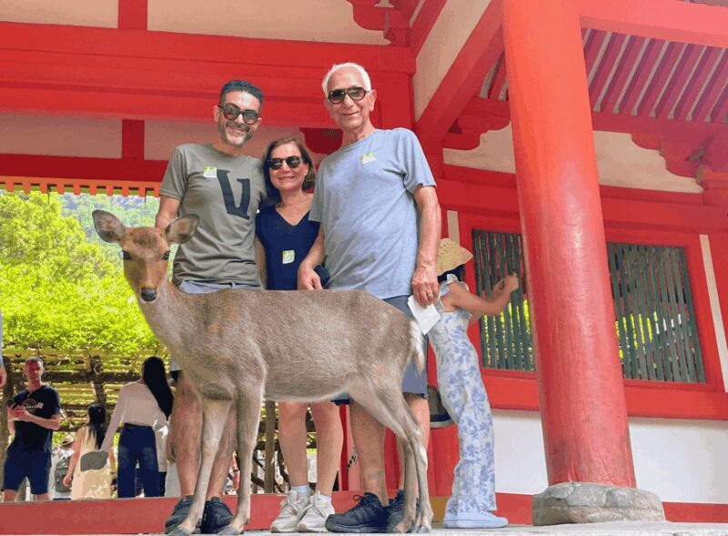 Kyoto: Historical Nara & Kyoto Bus Tour - Detailed Breakdown of the Tour