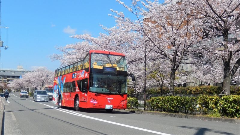 Kyoto Hop-On Hop-off sightseeing bus by Skyhop Bus (1day / 2days ticket) - Kyoto from the upper deck