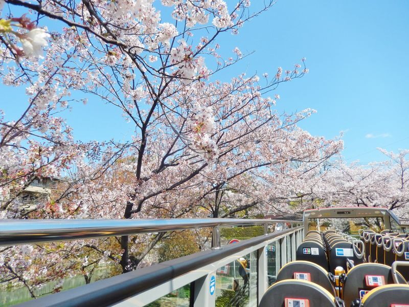 Kyoto Hop-On Hop-off sightseeing bus by Skyhop Bus (1day / 2days ticket) - Choosing between one and two days