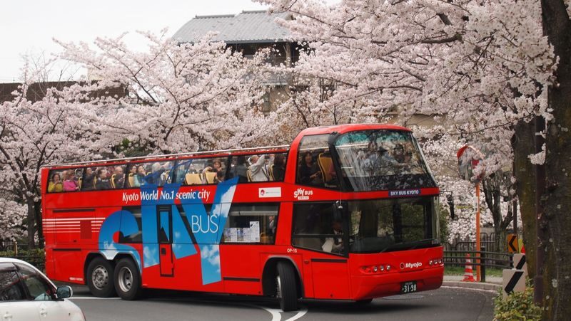 Kyoto Hop-On Hop-off sightseeing bus by Skyhop Bus (1day / 2days ticket) - The wait is part of the plan