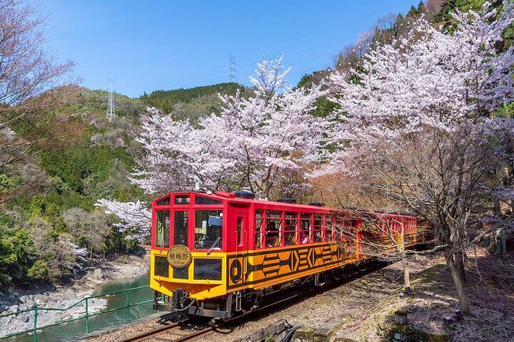 Kyoto Hozugawa River Boat Sagano Romantic Train Tour - Practical details before you book