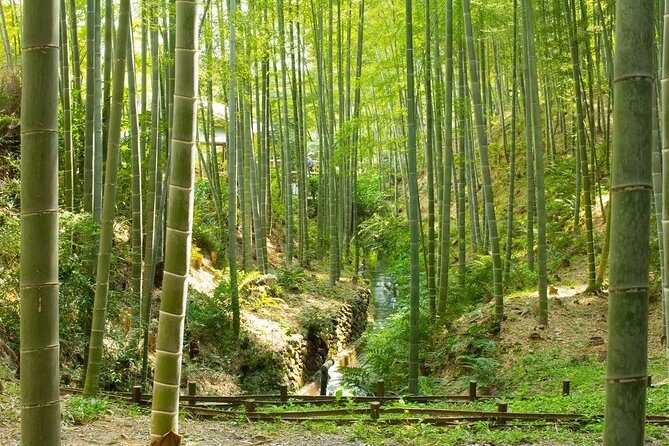 Kyoto : Immersive Arashiyama and Fushimi Inari by Private Vehicle - FAQs