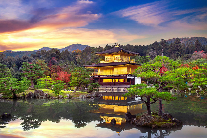 Kyoto In-Depth Tour: Nijo Castle + Kinkaku-ji (Golden Pavilion) + Fushimi Inari-taisha Shrine + Arashiyama Tenryu-ji Temple & Bamboo Grove One Day Tour | Departure from Osaka/Kyoto Available - One day, four different Kyotos