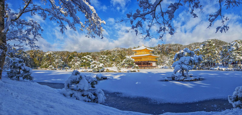 Kyoto In-Depth Tour: Nijo Castle + Kinkaku-ji (Golden Pavilion) + Fushimi Inari-taisha Shrine + Arashiyama Tenryu-ji Temple & Bamboo Grove One Day Tour | Departure from Osaka/Kyoto Available - Kinkaku-ji: a brief look at the Golden Pavilion
