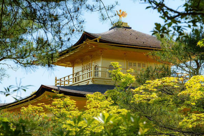 Kyoto In-Depth Tour: Nijo Castle + Kinkaku-ji (Golden Pavilion) + Fushimi Inari-taisha Shrine + Arashiyama Tenryu-ji Temple & Bamboo Grove One Day Tour | Departure from Osaka/Kyoto Available - Fushimi Inari: red gates and a hillside shrine