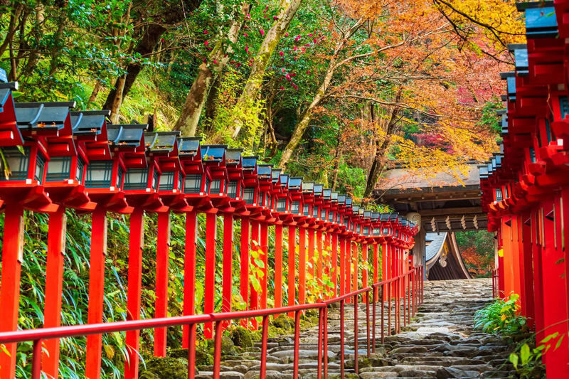 Kyoto: Kifune Shrine & Sanzen-in Temple, Arashiyama Sightseeing Train Experience/Eizan Electric Railway One-Day Trip (Departing from Osaka/Kyoto) - Arashiyama: bridge, bamboo and the train question