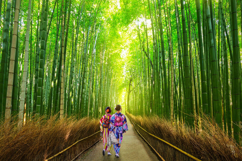 Kyoto: Kifune Shrine & Sanzen-in Temple, Arashiyama Sightseeing Train Experience/Eizan Electric Railway One-Day Trip (Departing from Osaka/Kyoto) - Practical details before you book
