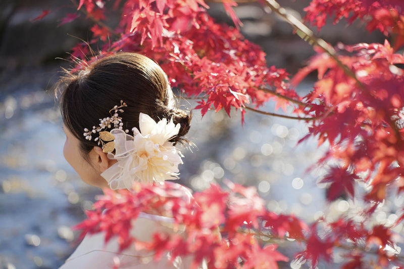 Kyoto Kimono Photoshoot Experience - A Kyoto portrait session, not a sightseeing tour