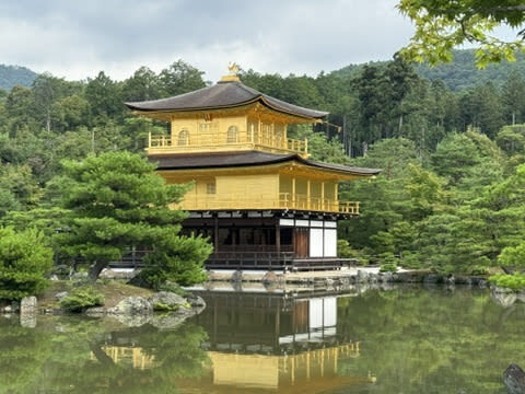 Kyoto Kinkaku-ji 1.5-hour Small Group History Tour - The guide is the main added value
